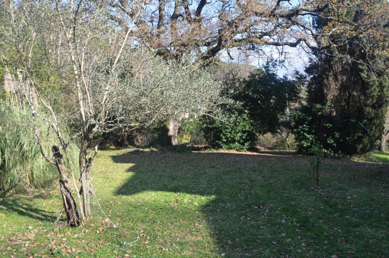 Il Giardino Secreto Apartment Manziana Ngoại thất bức ảnh